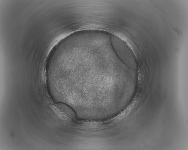 X0000111660973200907311134