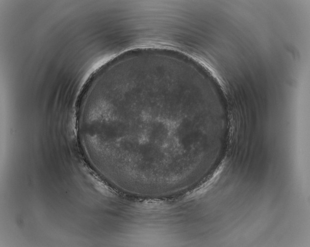 X0000111660974200907311134