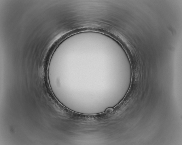 X0000111660975200907311134