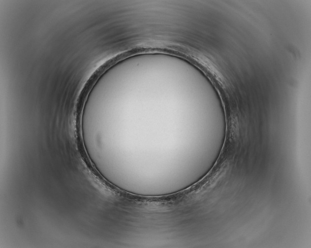 X0000111660976200907311134