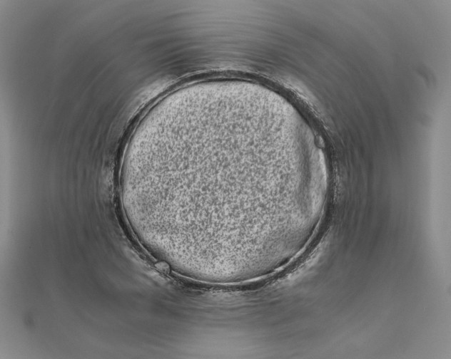 X0000111660977200907311134