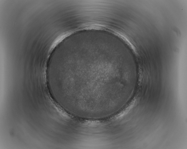 X0000111660978200907311134