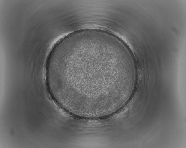 X0000111660979200907311134