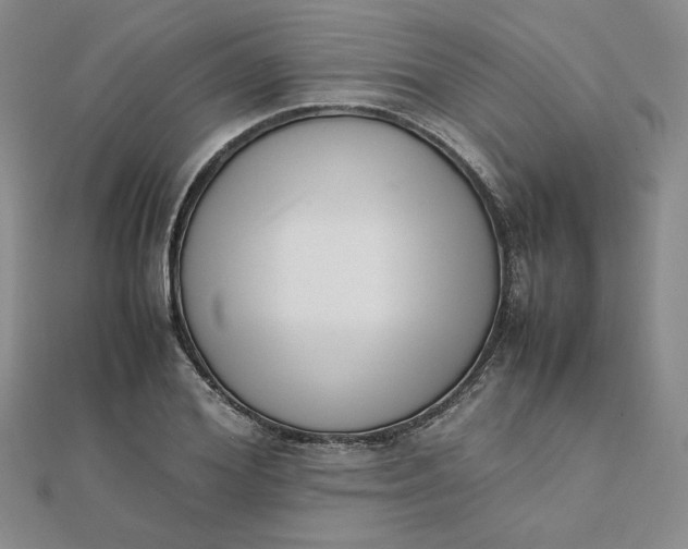 X0000111660980200907311134