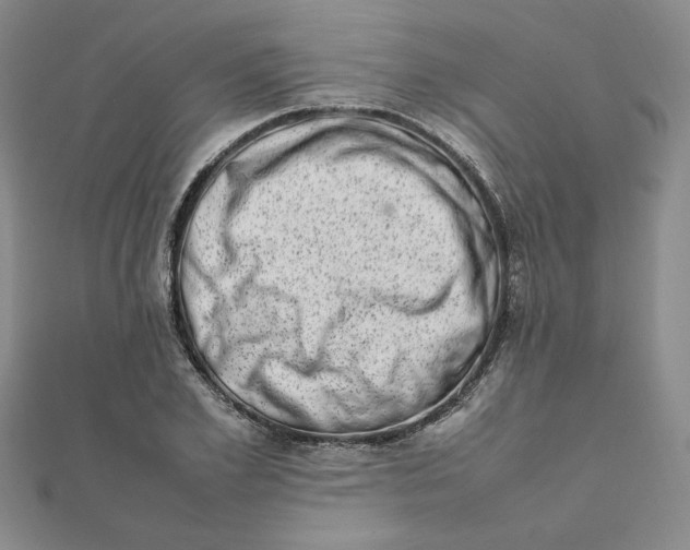 X0000111660981200907311134