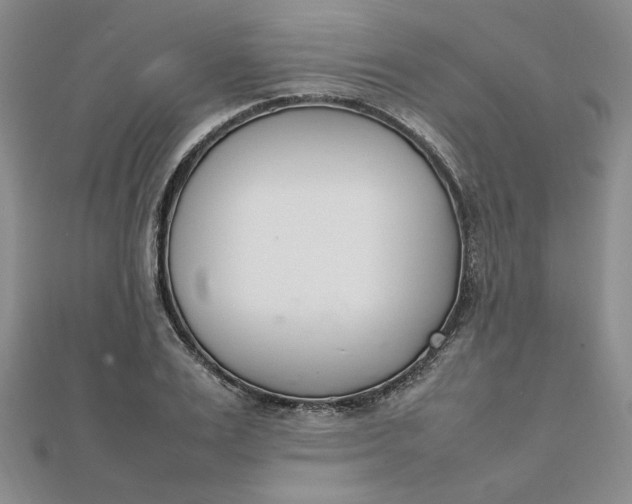 X0000111660983200907311134