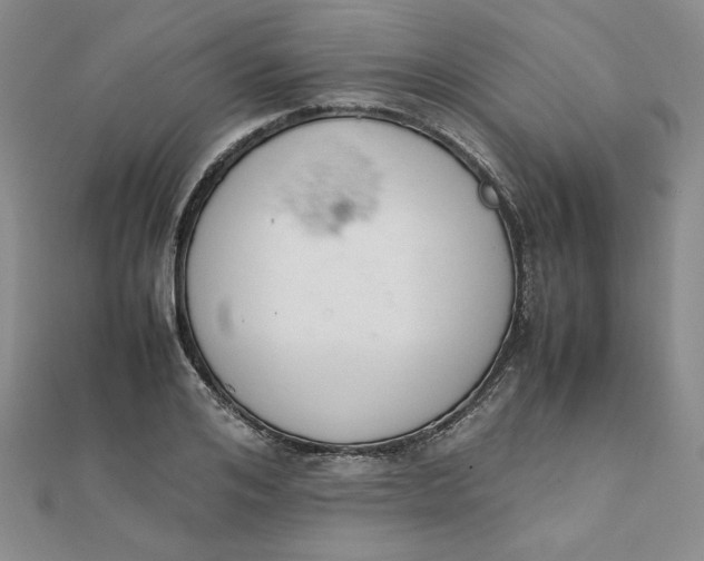 X0000111660984200907311134