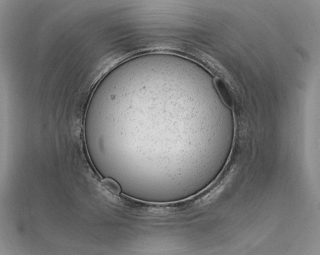 X0000111660985200907311134