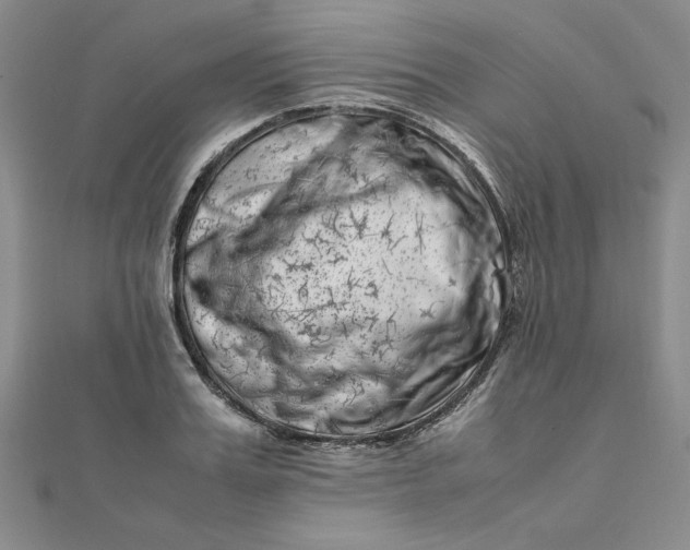 X0000111660987200907311134