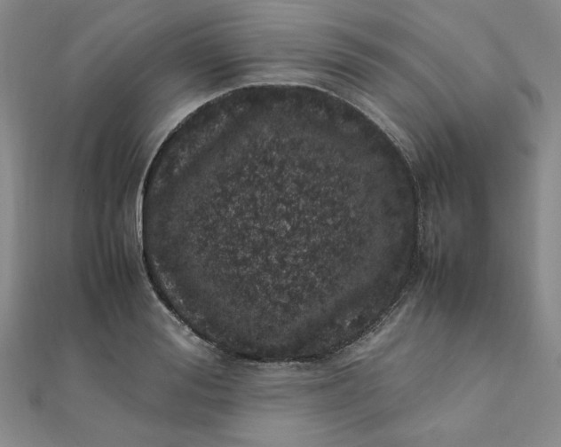 X0000111660988200907311134