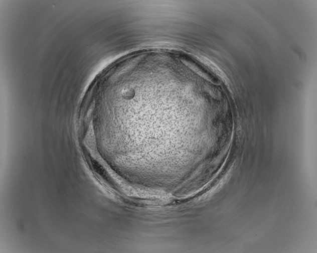 X0000111660989200907311134