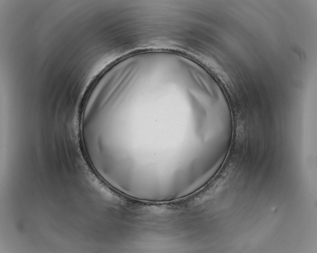 X0000111660990200907311134