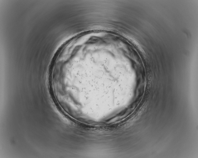 X0000111660991200907311134