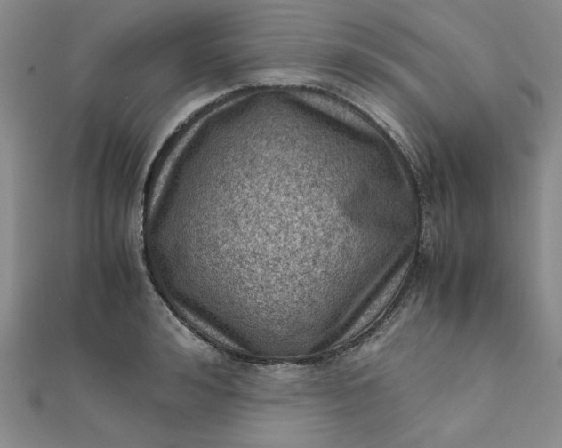 X0000111660992200907311134