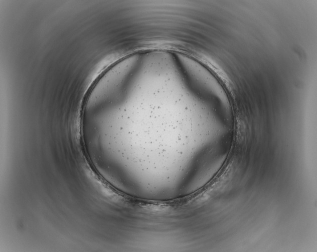 X0000111660994200907311134