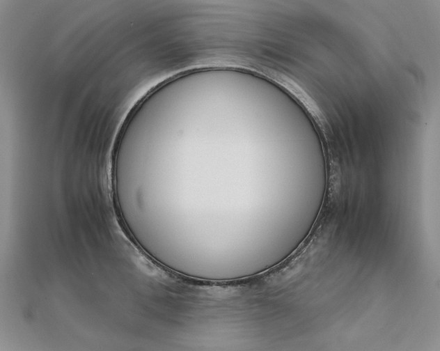 X0000111660996200907311134