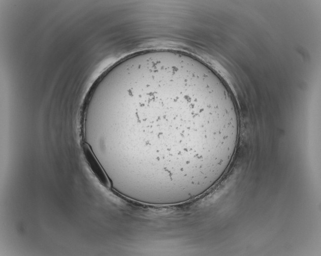 X0000111660997200907311134