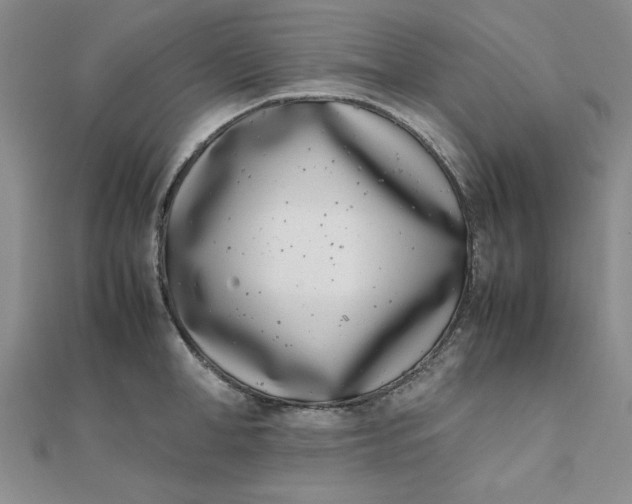 X0000111660998200907311134