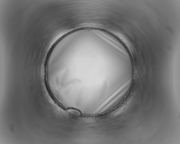 X0000111660999200907311134