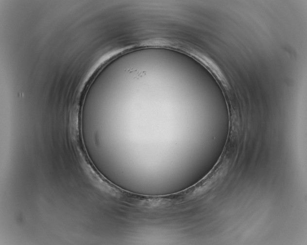 X0000111661000200907311134