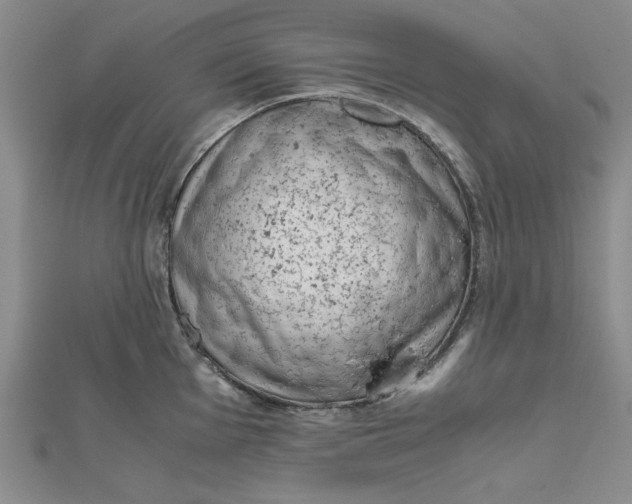 X0000111661001200907311134