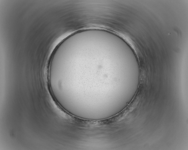 X0000111661003200907311134