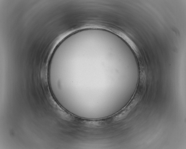 X0000111661004200907311134