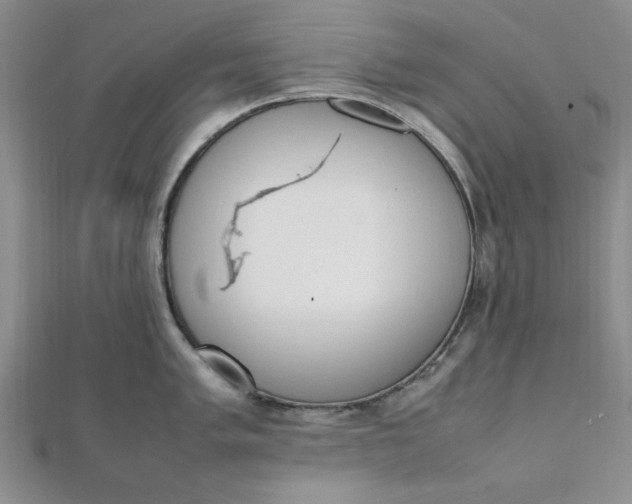 X0000111661005200907311134