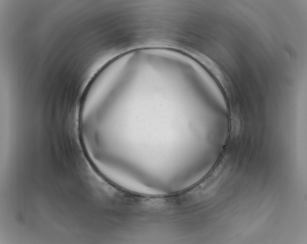 X0000111661006200907311134