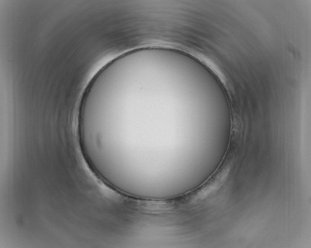 X0000111661007200907311134