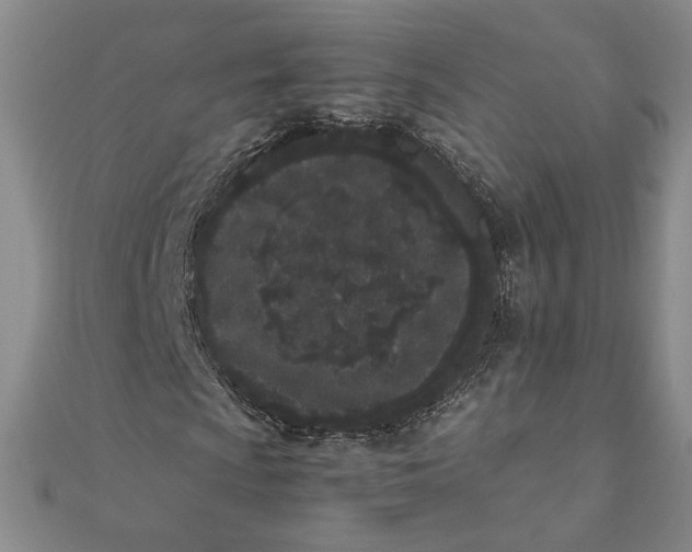 X0000111661009200907311133