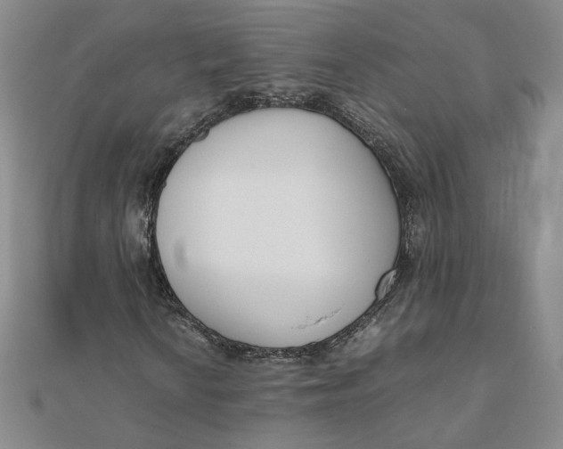 X0000111661010200907311133