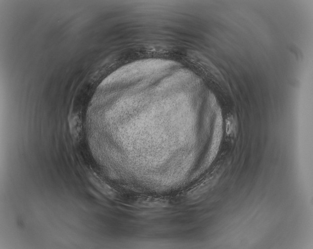 X0000111661011200907311133