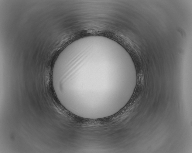 X0000111661012200907311133