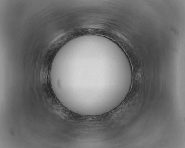 X0000111661014200907311133