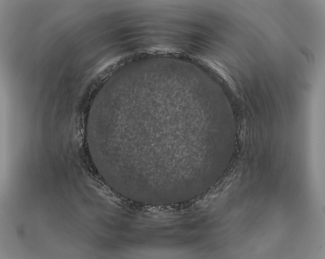 X0000111661015200907311133