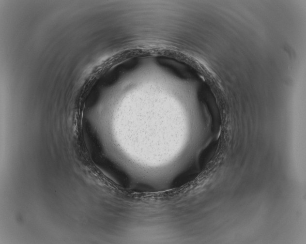 X0000111661016200907311133