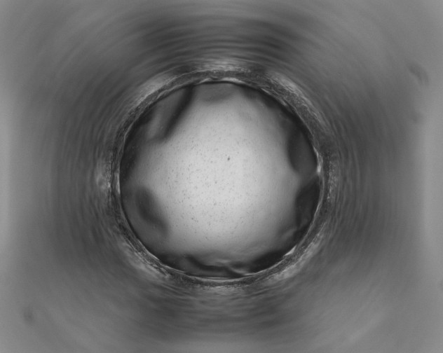 X0000111661017200907311134