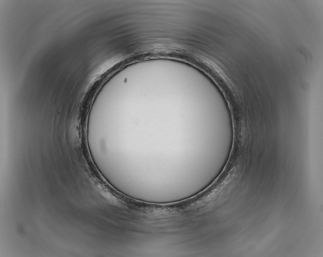 X0000111661018200907311134