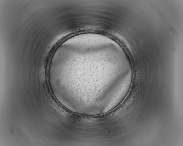 X0000111661019200907311134