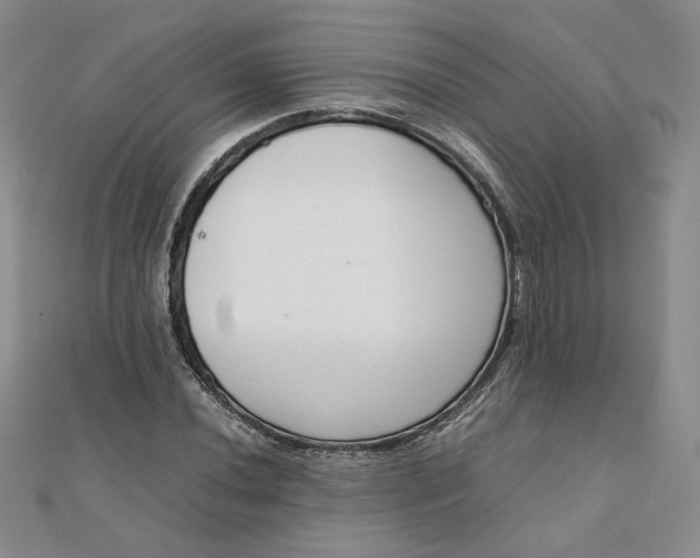 X0000111661020200907311134