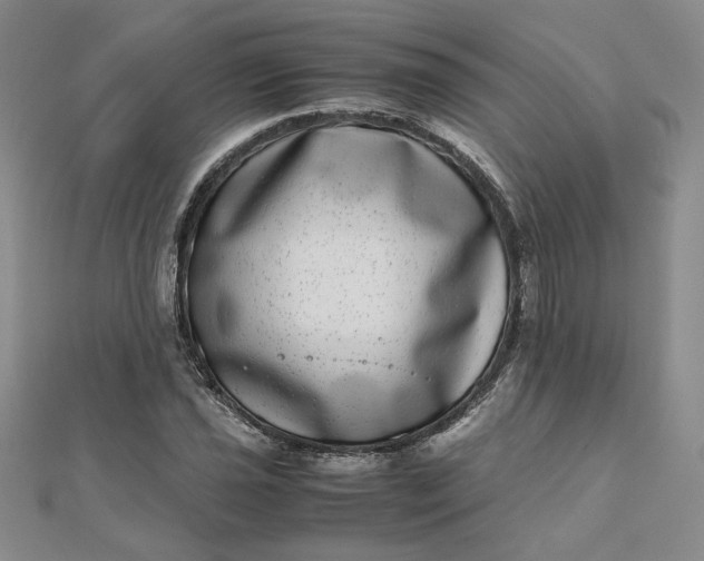 X0000111661021200907311134