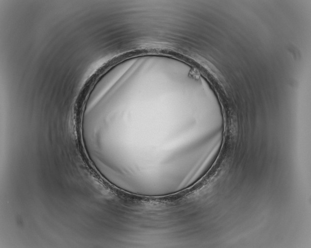 X0000111661022200907311134