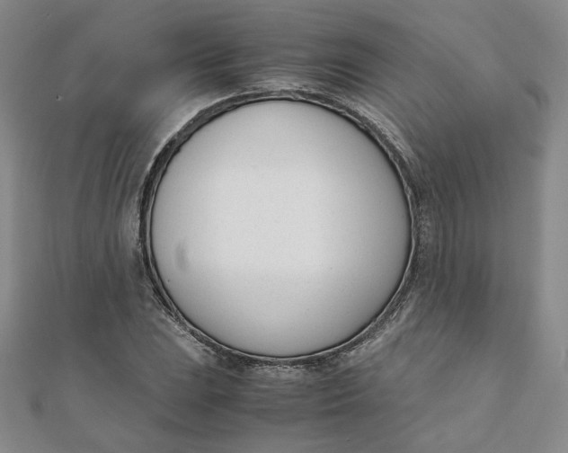 X0000111661023200907311134