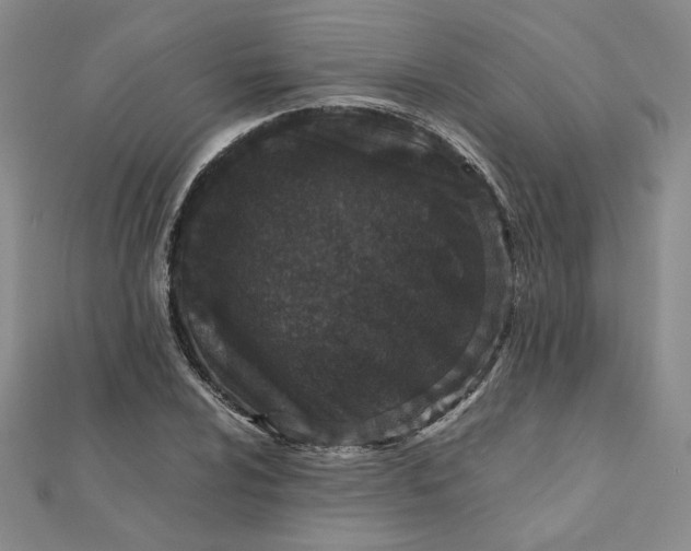 X0000111661024200907311134