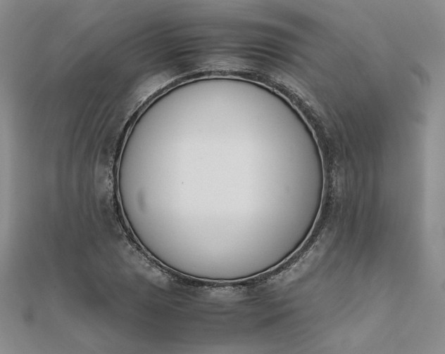 X0000111661025200907311134