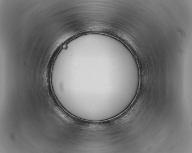 X0000111661026200907311134