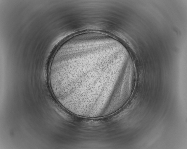 X0000111661027200907311134