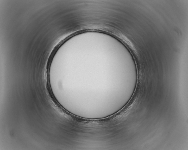 X0000111661028200907311134