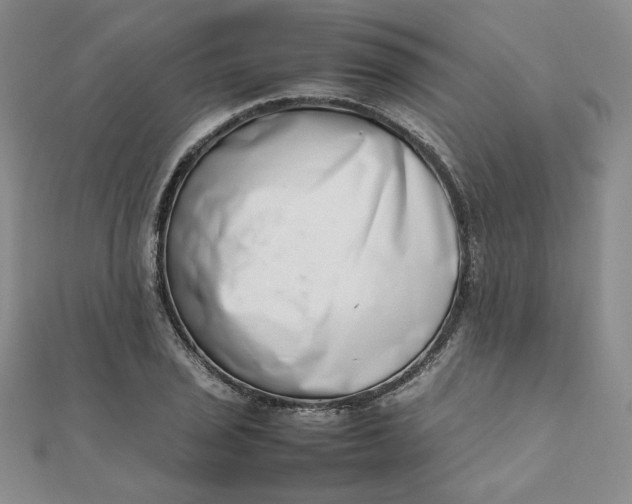 X0000111661029200907311134